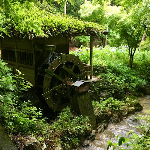 東大寺別院 阿弥陀寺