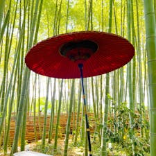 紫陽花寺の竹の小路。

雲昌寺、とても素敵なところです。

#雲昌寺