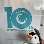 京都水族館。
1200円のクジでゲットしたペンギン