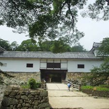 国宝彦根城

#サント船長の写真  #現存する木造の天守閣　#お城巡り　#城跡　#滋賀県