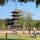興福寺の五重塔を背景に

#奈良　#鹿　#観光スポット