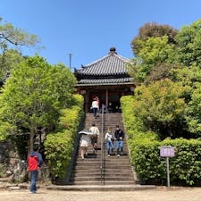 柿くへば鐘が鳴るなり法隆寺（正岡子規）

法隆寺を参拝中、時を告げる鐘を聴くことが出来ました。
鐘がある西円堂は、建物と中に安置されている薬師如来像が国宝に指定されています。

#奈良　#法隆寺　#国宝　#世界遺産