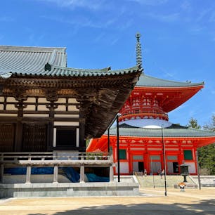 金堂と根本大塔

#和歌山　#高野山　#世界遺産