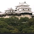松山城
愛媛県松山市にあった日本の城。別名 金亀城、勝山城。各地に松山城と呼ばれる城が多数存在するため「伊予松山城」と呼ばれることもあるが、一般的に「松山城」は本城を指すことが多い。

#サント船長の写真　#現存する木造の天守閣　#お城巡り　#城跡