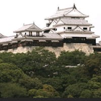 松山城
愛媛県松山市にあった日本の城。別名 金亀城、勝山城。各地に松山城と呼ばれる城が多数存在するため「伊予松山城」と呼ばれることもあるが、一般的に「松山城」は本城を指すことが多い。

#サント船長の写真　#現存する木造の天守閣