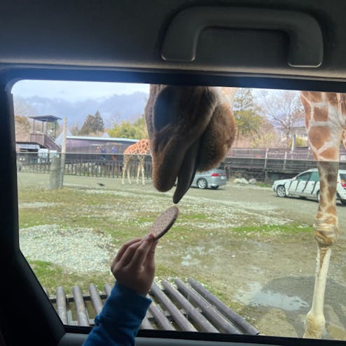 那須サファリパーク