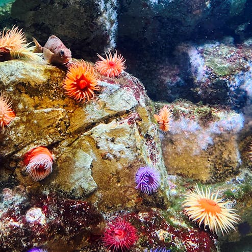 葛西臨海水族園