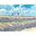 2022.7/4 ぜるぶの丘⛰
パノラマロードを通って美瑛・富良野に行く前に寄ったぜるぶの丘。期待以上に綺麗だった✨

#ぜるぶの丘　#北海道　#北海道旅行　#ラベンダー　#美瑛