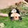 娘と同い年の楓浜
パンダをこんなにじっくり近くで見たの初めてかも！これだけで来た甲斐あり

#アドベンチャーワールド　#和歌山の旅　#1歳子連れ旅