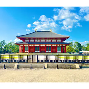 興福寺にて(7/6)
台風の後で天気がとても良いです☀️