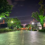 八幡坂
夜もきれいできゅん🥺🥺
#202206 #s北海道