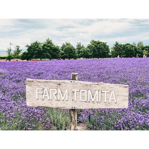 ファーム富田