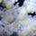 加茂水族館のくらげ。


花のように艶やかで、びっくり。



#加茂水族館
#山形県