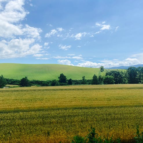 パッチワークの路