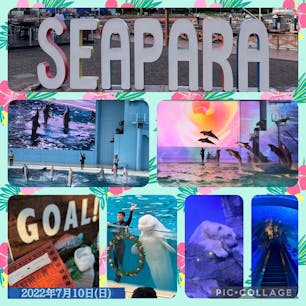 2022年7月10日(日)
1日楽しめるアミューズメントパーク
横浜・八景島シーパラダイス🏝
4つの水族館アクアリゾーツと遊園地プレジャーランド🎢
等がある複合型海洋レジャー施設です✨
プロジェクションマッピングを用いた
イルカのナイトショーLIGHTIAは神秘的で綺麗だった🐬

#横浜・八景島シーパラダイス #八景島 #神奈川 #観光名所 #水族館 #遊園地 #テーマパーク