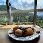 仙岩トンネルの秋田側にある峠の茶屋に初訪問。
絶景とその山の間を通る秋田新幹線をみながら、名物のおでんを食べました。