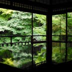 京都
瑠璃光院
今日(7月21日)は訪れる人も少なくゆっくりできました。