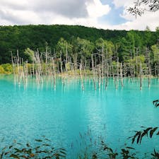 北海道 青い池 とても綺麗でした。