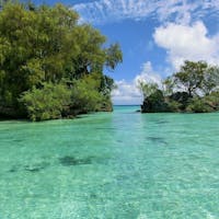 🇵🇼Palau
海の透明度が高くてエメラルドグリーン!
マングローブ貝のパスタは美味しいけど、見た目がギョッとする。