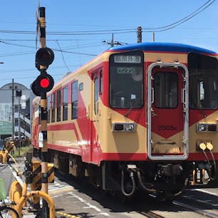 島原鉄道(長崎県)
撮り鉄が何人かいて、話に聞くところでは、この路線では珍しい色・デザインの列車だそうです。
