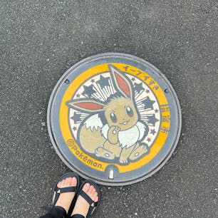 〰️Kagoshima🇯🇵〰️
#指宿#イーブイすき指宿市