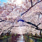 東京  ♡  目黒川   桜まつり🌸
ノーマルカメラの頑張り⚑︎⚐︎