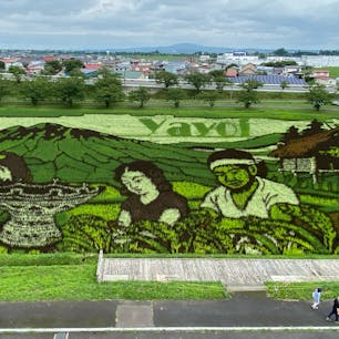 すごくないですか？
感動します。