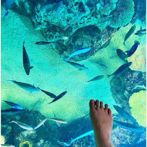 越前松島水族館