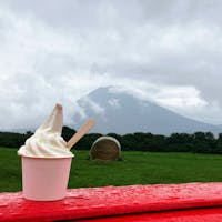 雨の中、羊蹄山ギリ見える