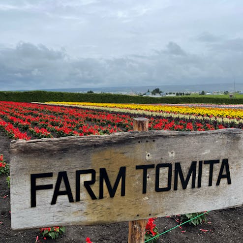 ファーム富田