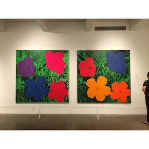 #ピッツバーグ旅行記 -24

#アンディ・ウォーホル 美術館にて
❤️🧡💙💚

**************************************************
2019年7月上旬、かつて鉄鋼業で栄え”Steel City”の愛称があるアメリカ・ピッツバーグとその周辺を旅しました。目的はアメリカ独立記念の花火と郊外にあるF. L. ライト設計の落水荘 🏞
他にもアンディ・ウォーホル美術館やピッツバーグ大学 など見どころの多い街です。#ピッツバーグ旅行記 として写真をシェアします。

#travelthrowback #USA #Pittsburgh
#旅の思い出　#アメリカ　#ピッツバーグ #2019