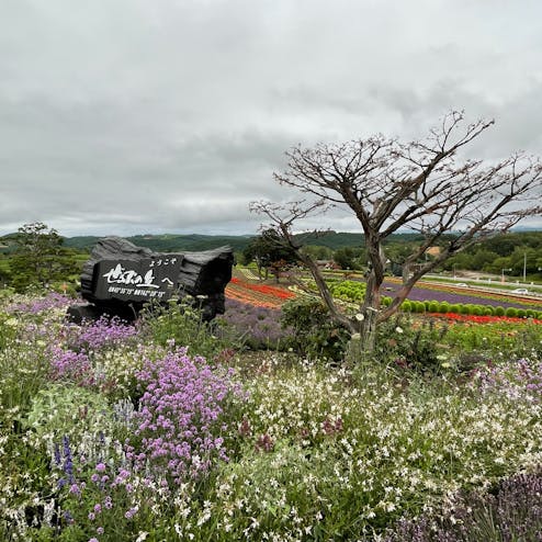 ぜるぶの丘・亜斗夢の丘