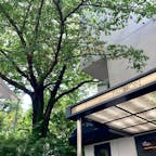 代官山のフレンチビストロ、ル・コントワール・オクシタン。テラス席には大きな桜の木があり良い雰囲気。

#東京
#代官山