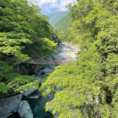 祖谷のかずら橋