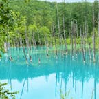 北海道　
美しい青い池