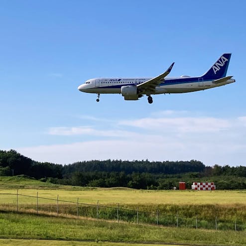 庄内空港緩衝緑地