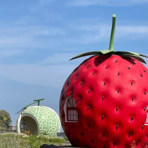 フルーツバス停ロード