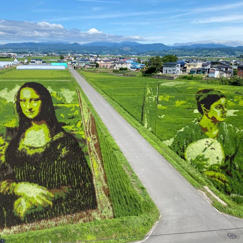 田舎館村 田んぼアート