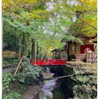 うかい鳥山
高尾の山中に佇むいろり炭火焼のお店

敷地には小川が流れてなんとも涼しげ（実際、都心と比べると一度は低かった）赤い橋を渡って個室に向かいます。

#東京
#高尾
#八王子