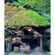高尾の山中に佇むいろり炭火焼のお店「うかい鳥山」の庭で見かけた東屋。苔むした屋根が風情があって素敵です。

#東京
#高尾
#八王子