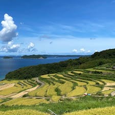 8月8日。棚田では早くも稲刈りが始まっていました。