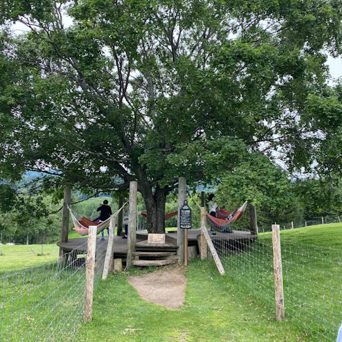 星野リゾート トマム