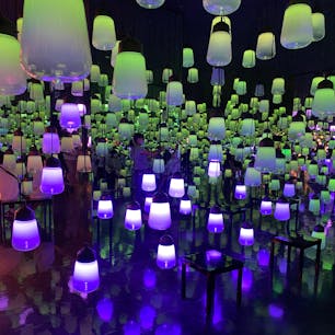 話題の御船山に行ってきました。
幻想的でずっと見ていられます。