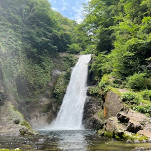マイナスイオン✨✨✨✨

秋保大滝。
滝壺まで降りる価値ありです！

#秋保大滝
#宮城