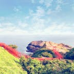 2018年8月山口県 元乃隅神社⛩
日本海の青と鳥居の赤が素敵。。。