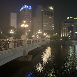 広島の街。
一晩だったけど素敵な街だった。
ただ道路がわかりにくいわ。