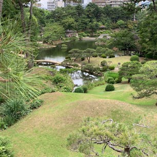縮景園行きました。
またまた朝から。
都会の真ん中にある安らぎって感じでまあまあ良かった。
おばあちゃんが喜んでたから良かったです。