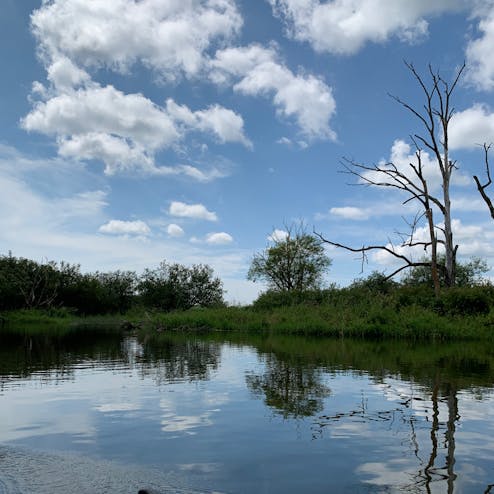 釧路湿原国立公園