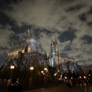 元、年パス勢の者です!
ユニバはスリリングな乗り物から子どもさんも楽しんでいただけるような乗り物、パレードもあったり、美味しい食べ歩きできる食べ物があったり、キティちゃんに会えたり....と一日中楽しめる場所です👍🏻
屋外テーマパークなので、晴れの日に行くことをオススメしますが、雨の日でも楽しめるショーや乗り物があったりします🌂
是非ご家族、カップル、お友達と行ってみてはどうですか☺️❤️

#ユニバーサルスタジオジャパン