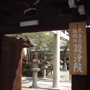 第三番札所
護浄院(清荒神)
◎宗派・天台宗◎准胝観音菩薩（観音堂）

護浄院は通称清荒神といい、本堂には『清三宝大荒神尊』をお祭りしています。後小松天皇の勅命により摂津国勝尾山から京都の高辻堀川に移され、その後、後陽成天皇が王城（御所）の巽（東南）の方角を守護するため豊臣秀吉に命じて現在の地に移されました。当院は代々勅願寺であり、寺名は東山天皇が御所の浄域を護るようにと『護浄院』と命名されたものです。現在も日々天皇皇后両陛下をはじめ皇室のご安泰を祈願し、年三回御所願礼を宮内庁を通じ献上させていただいています。

#サント船長の写真　#洛陽三十三所観音霊場